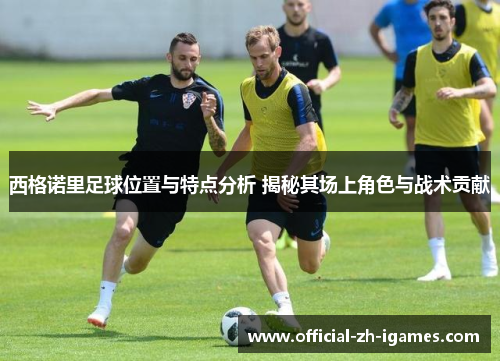 西格诺里足球位置与特点分析 揭秘其场上角色与战术贡献 西格诺里足球位置与特点分析 揭秘其场上角色与战术贡献